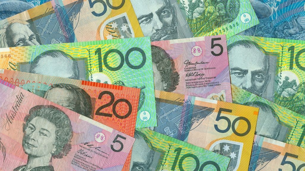 Accountant Fees